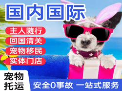 抚远航空空运国际宠物托运 【国